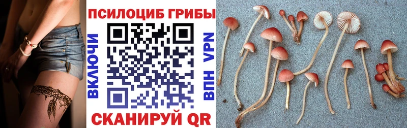 Галлюциногенные грибы мухоморы  МЕГА рабочий сайт  Стародуб 
